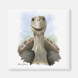 Imã Desenho Animado de Tartaruga Divertido