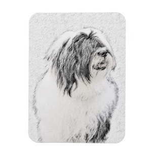 Ímã Desenho Collie Com Carapaça - Arte Cachorra Origi