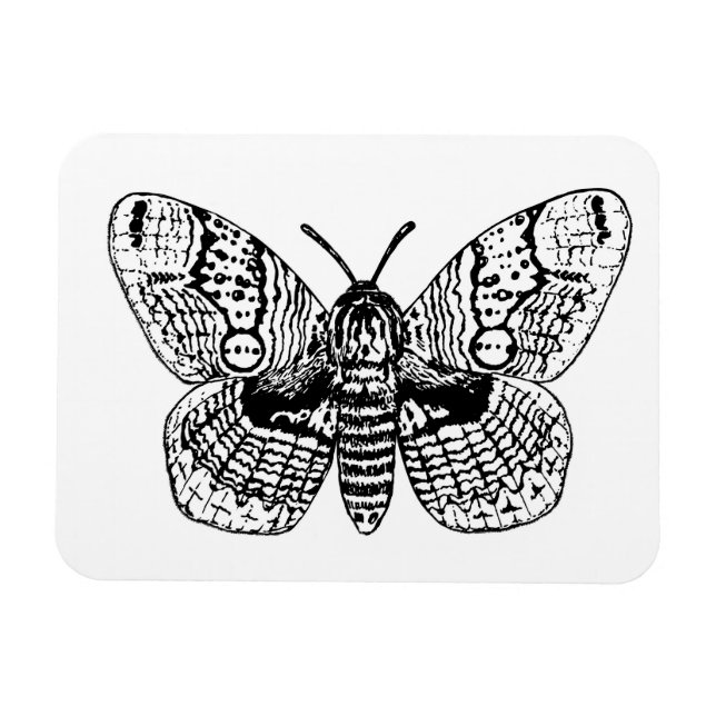 Ímã Desenho da marreta brâmane (Horizontal)