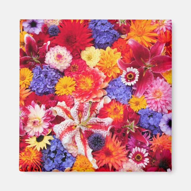 Imã Desenho de flores de Dalhia, Lírios Orientais, (Frente)