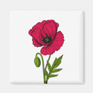 Imã Desenho de papoila vermelha