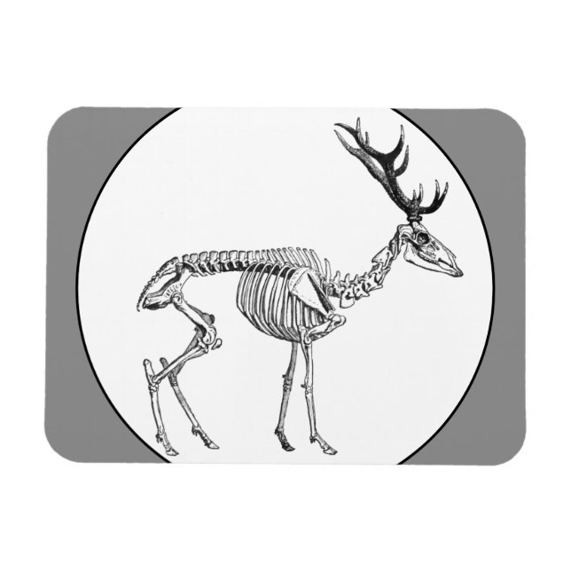 Ímã Desenho de rena de esqueleto de safra (Horizontal)