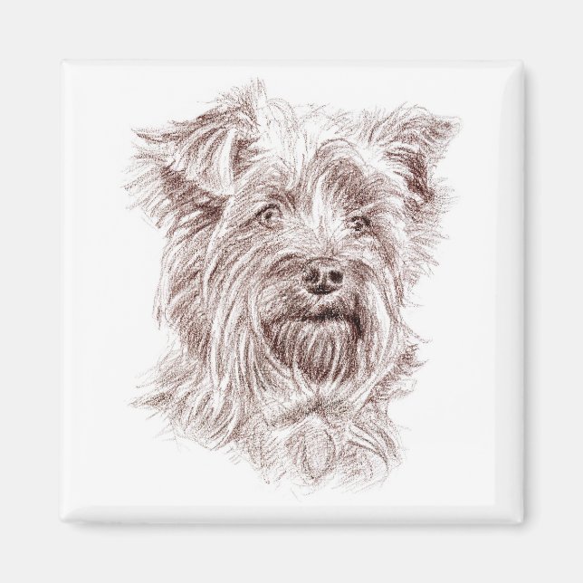 Imã Desenho de Yorkshire Terrier (Frente)