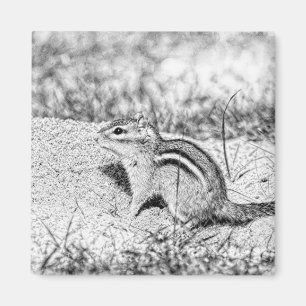Imã Desenho do Chipmunk