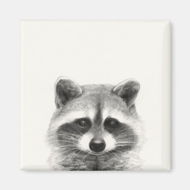 Imã Desenho do Lápis Raccoon (Frente)