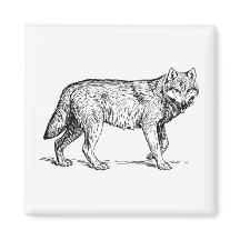 Desenho Elegante de Tinta cinza Wolf