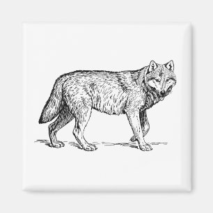 Imã Desenho Elegante de Tinta cinza Wolf