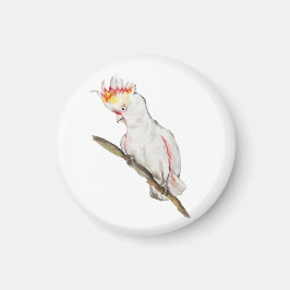Imã Desenho em aquarela de um papagaio-católico