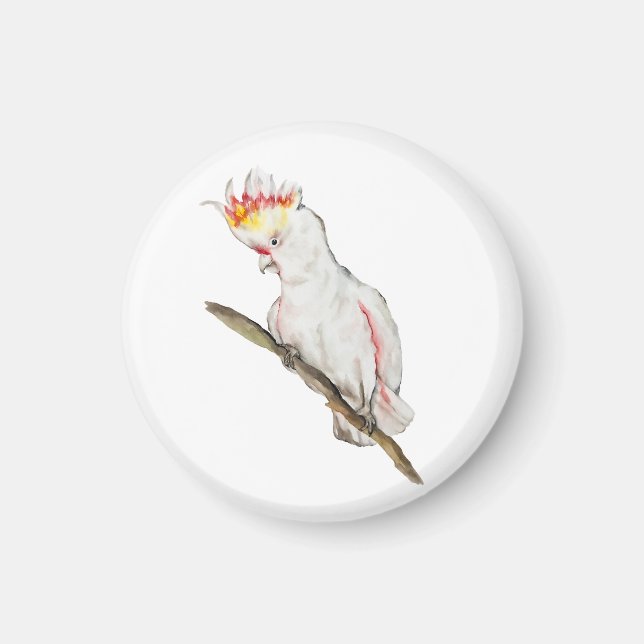 Imã Desenho em aquarela de um papagaio-católico (Frente)