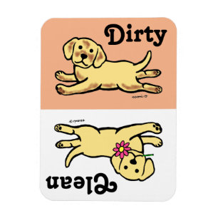 Ímã Desenhos animados amarelos inocentes do filhote de