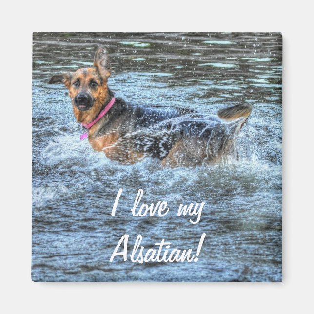 Imã Desenhos de cães para amantes de animais de compan (Frente)