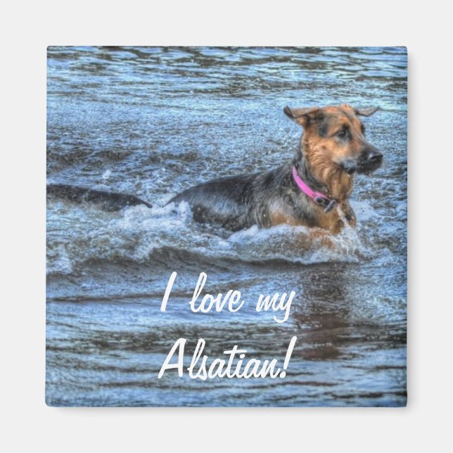 Imã Desenhos de cães para amantes de animais de compan (Frente)