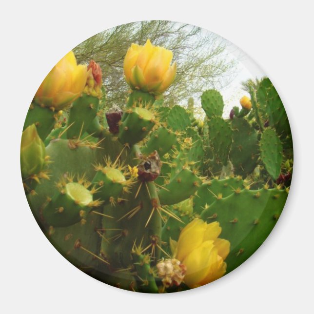 Imã Desert Flower (Frente)