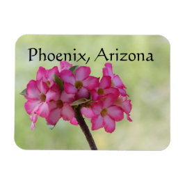 Ímã Desert rose in pink Phoenix, AZ