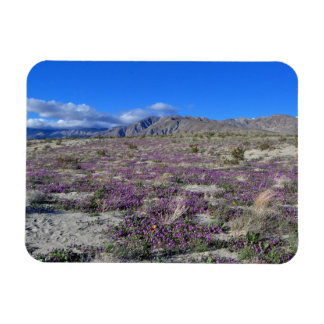 Ímã Desert Super Bloom 2019 Borrego Primaveras CA