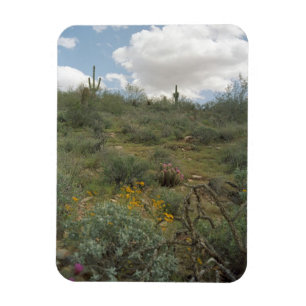 Ímã Desert Symphony Decorative Desert Magnet