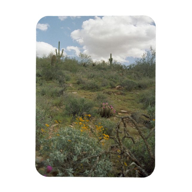 Ímã Desert Symphony Decorative Desert Magnet (Vertical)
