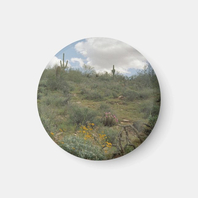 Imã Desert Symphony Desert Refrigerator Magnet (Frente)