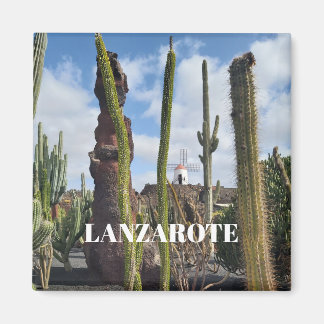 Imã “Desert Windmill and Cactus” Magnet