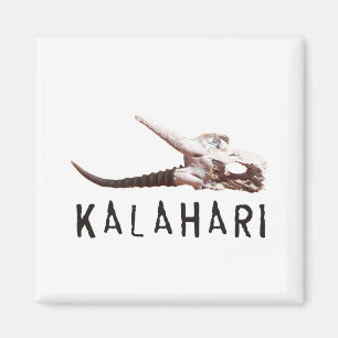 Imã Deserto de Kalahari em África: Crânio inoperante