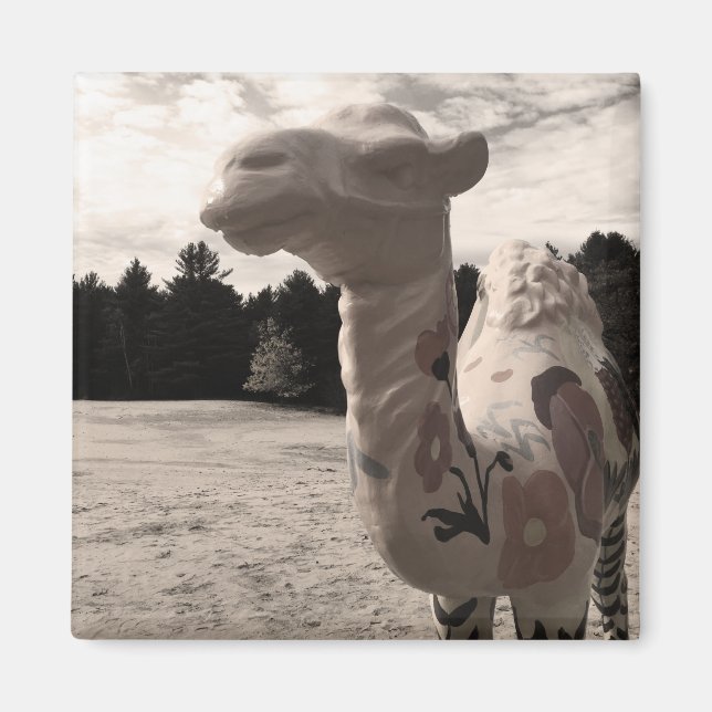 Imã deserto de minas (Frente)