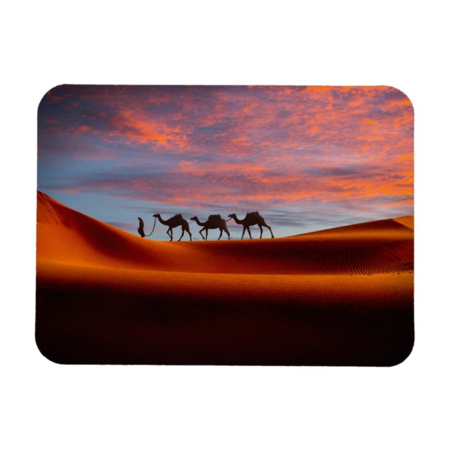Ímã Desertos | Man & Camels in the Sand Dunes (Horizontal)