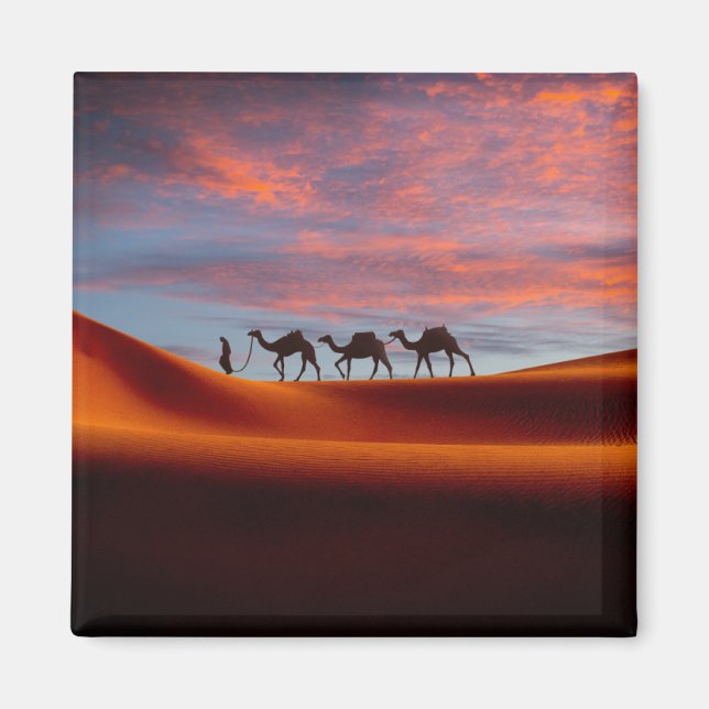 Imã Desertos | Man & Camels in the Sand Dunes (Frente)