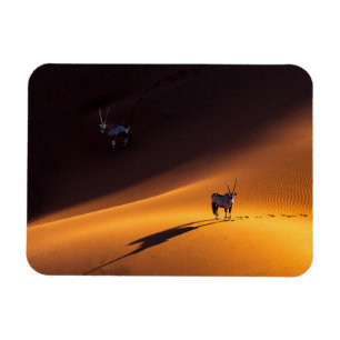 Ímã Desertos Namib Naukluft National Park Quênia