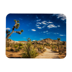 Ímã Desertos Parque Nacional Joshua Tree