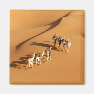 Imã Desertos Tuareg Walk com Camels