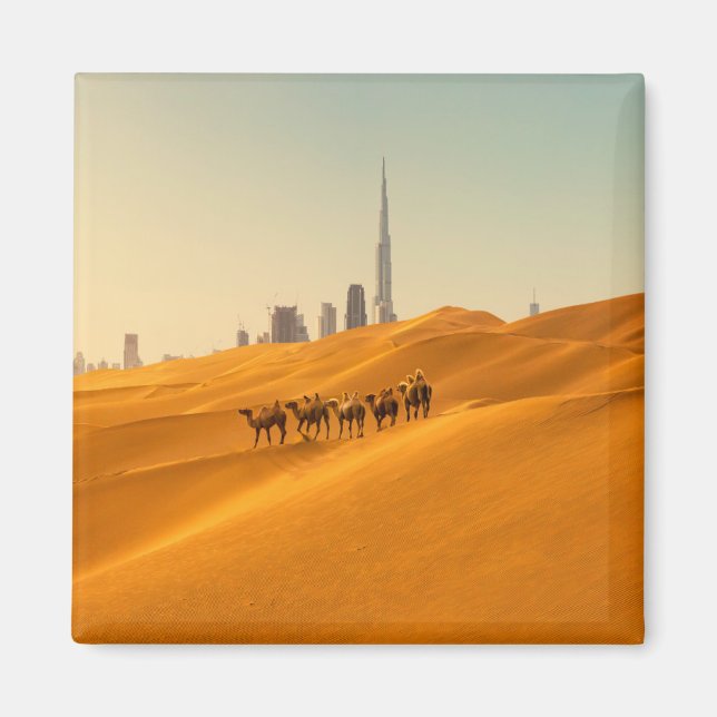Imã Desertos | Vista Skyline do Dubai com Camelos (Frente)