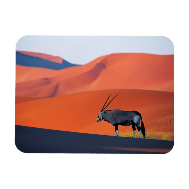 Ímã Deserts | Namib Desert Oryx (Horizontal)