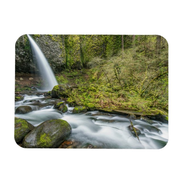 Ímã Desfiladeiro do Rio Columbia, Ponytail Falls (Horizontal)