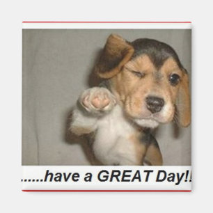 Imã desfrute do dia