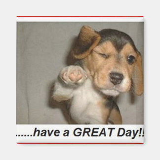 Imã desfrute do dia