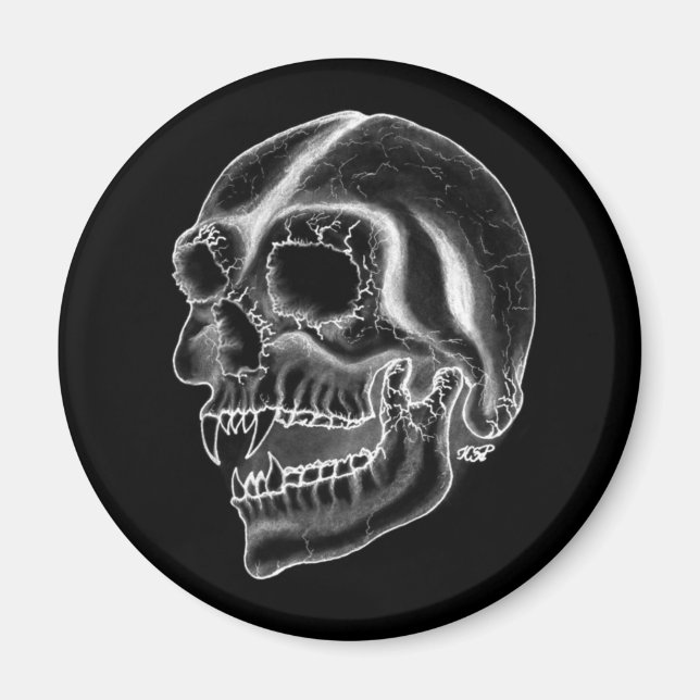 Imã Design branco e preto do crânio do vampiro (Frente)