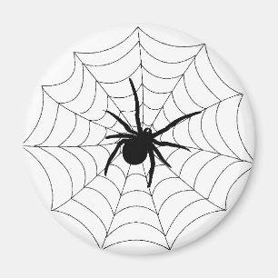 Imã Design da Web Spider