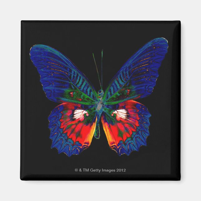 Imã Design de borboleta colorida contra pano de fundo  (Frente)