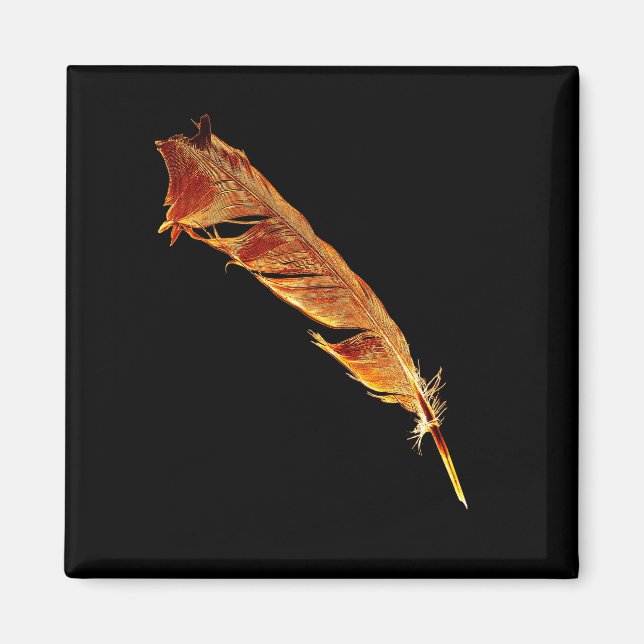 Imã Design de Crow-lover amante de pássaros de penas q (Frente)