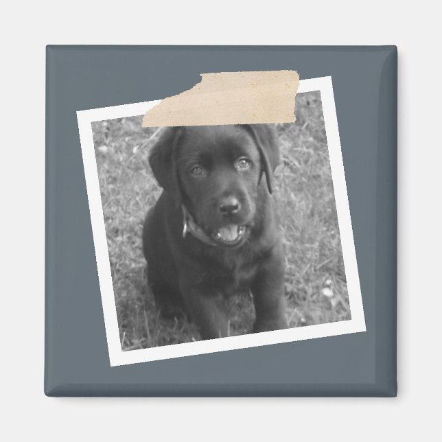 Imã Design de Fita Personalizada e Quadro de Foto (Frente)