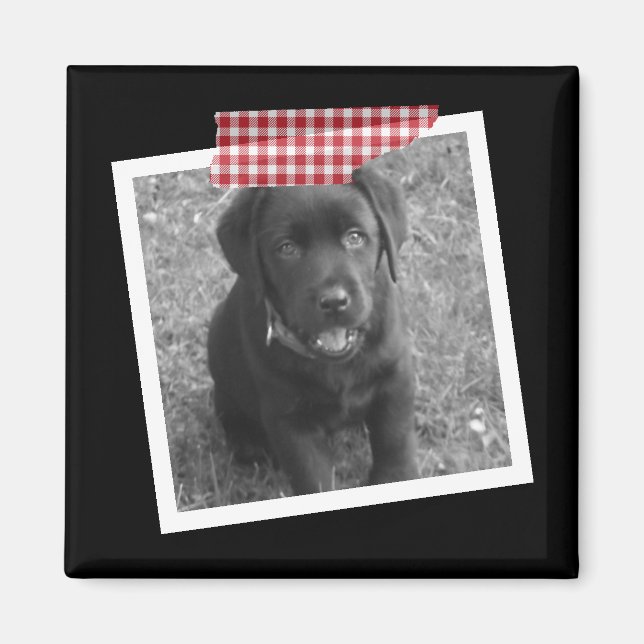 Imã Design de Fita Personalizada e Quadro de Foto (Frente)