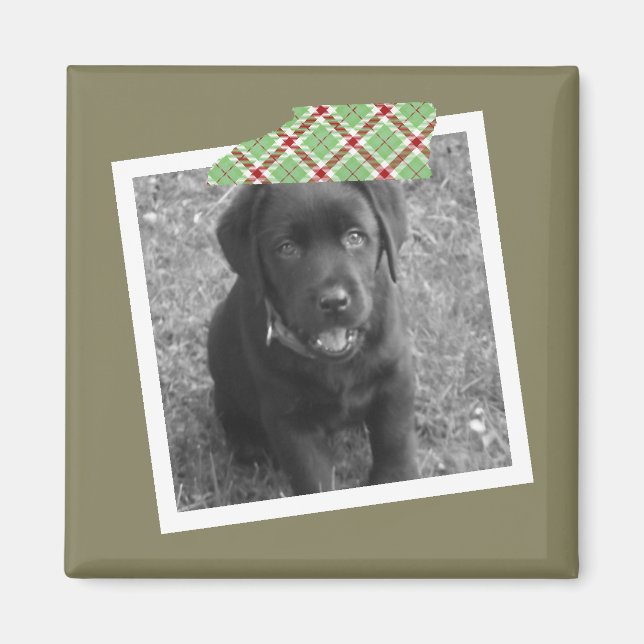 Imã Design de Fita Personalizada e Quadro de Foto (Frente)