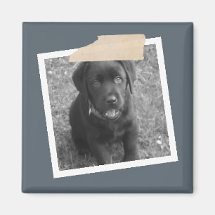Imã Design de Fita Personalizada e Quadro de Fotos