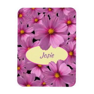 Ímã Design de Flor do Cosmos Roxo em um Fundo Preto