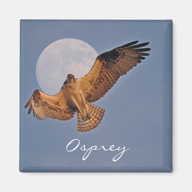 Imã Design de Foto de Osprey e Super Moon (Frente)
