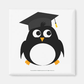 Imã Design de Graduação de Pinguim - Magnet Quadrado