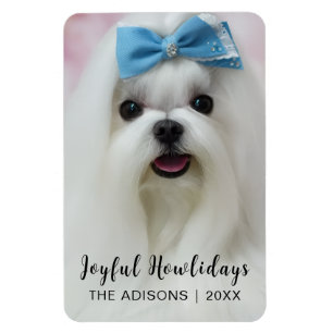 Ímã Design de Natal de Cachorro Moderno Férias da Pata