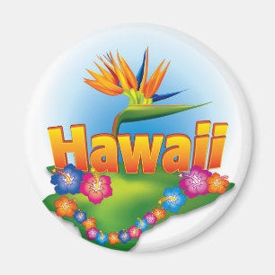 Imã Design do ímã de Havaí