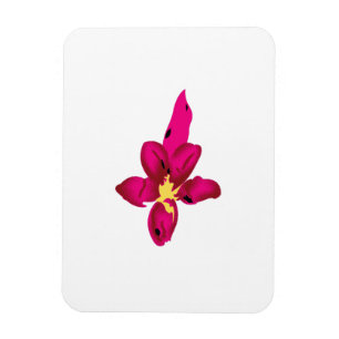 Ímã Design, Dourado claro, vermelho púrpura