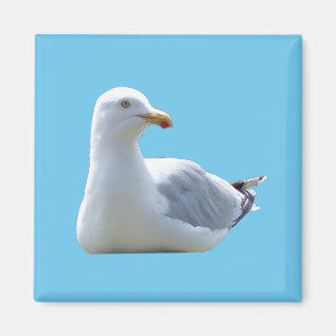 Imã Design Encantador de Gaivota em Repouso sob o Céu